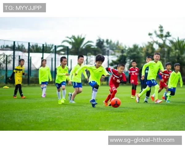 足球杨剑飞的传奇之路与梦想追逐的青春岁月