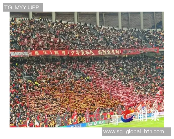 辽宁专业足球场建设进展及未来发展规划探讨